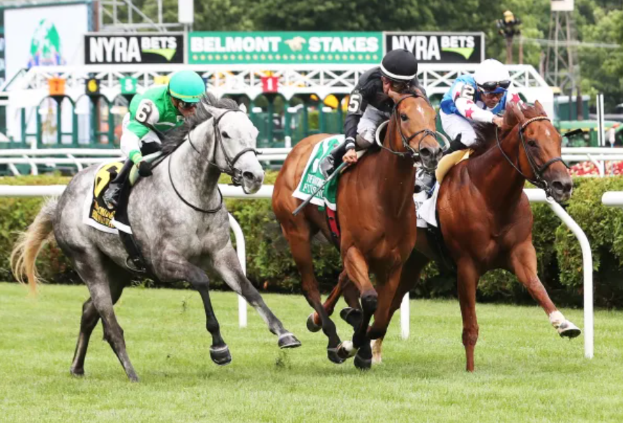 Paco Turf || pacoturf || paco turf vip